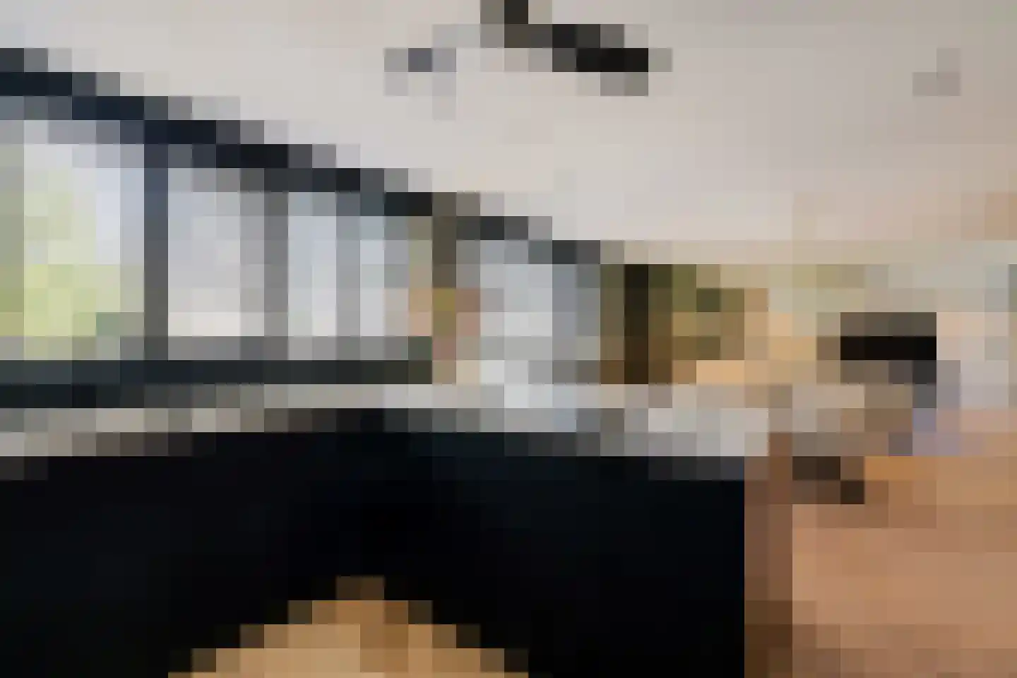 Laan van de Eekharst 78 Emmen thumbnail 20