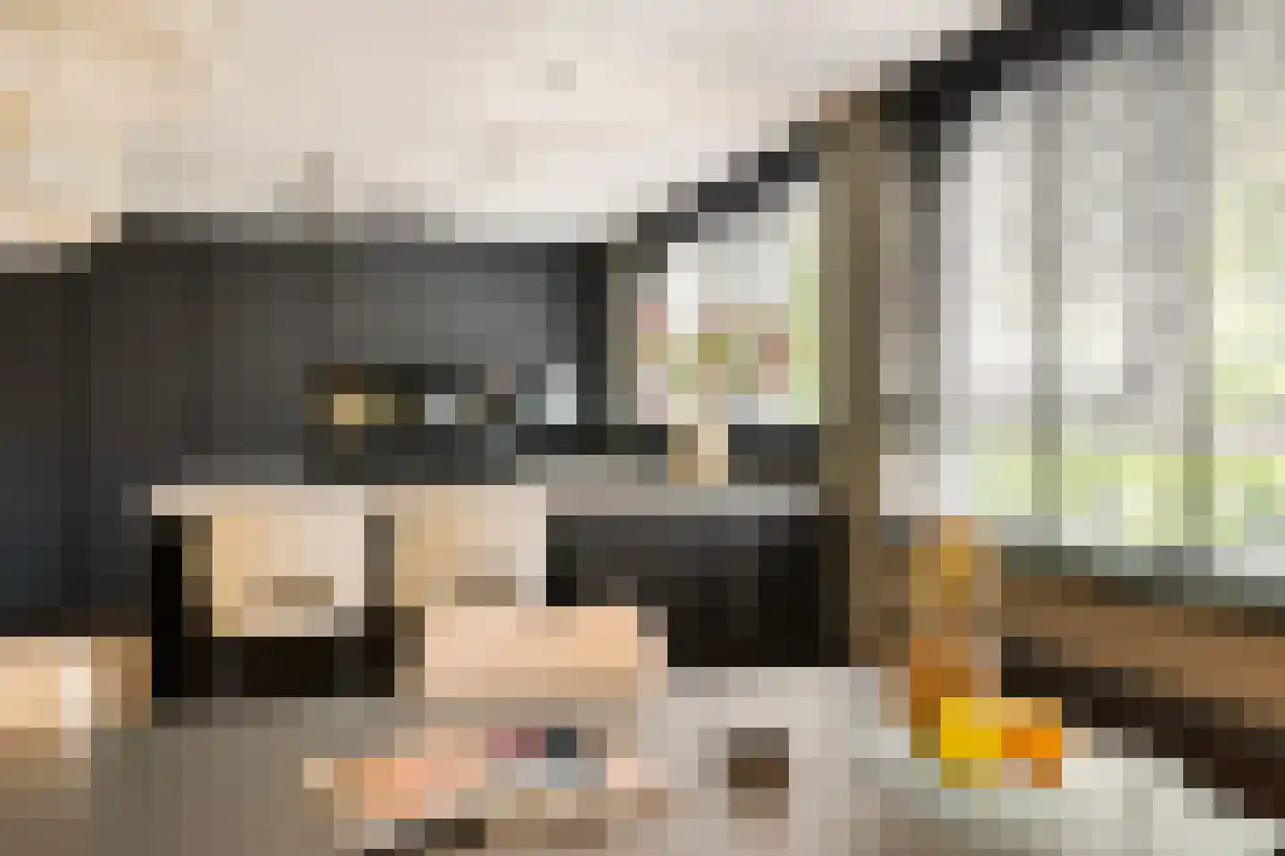 Laan van de Eekharst 78 Emmen thumbnail 22
