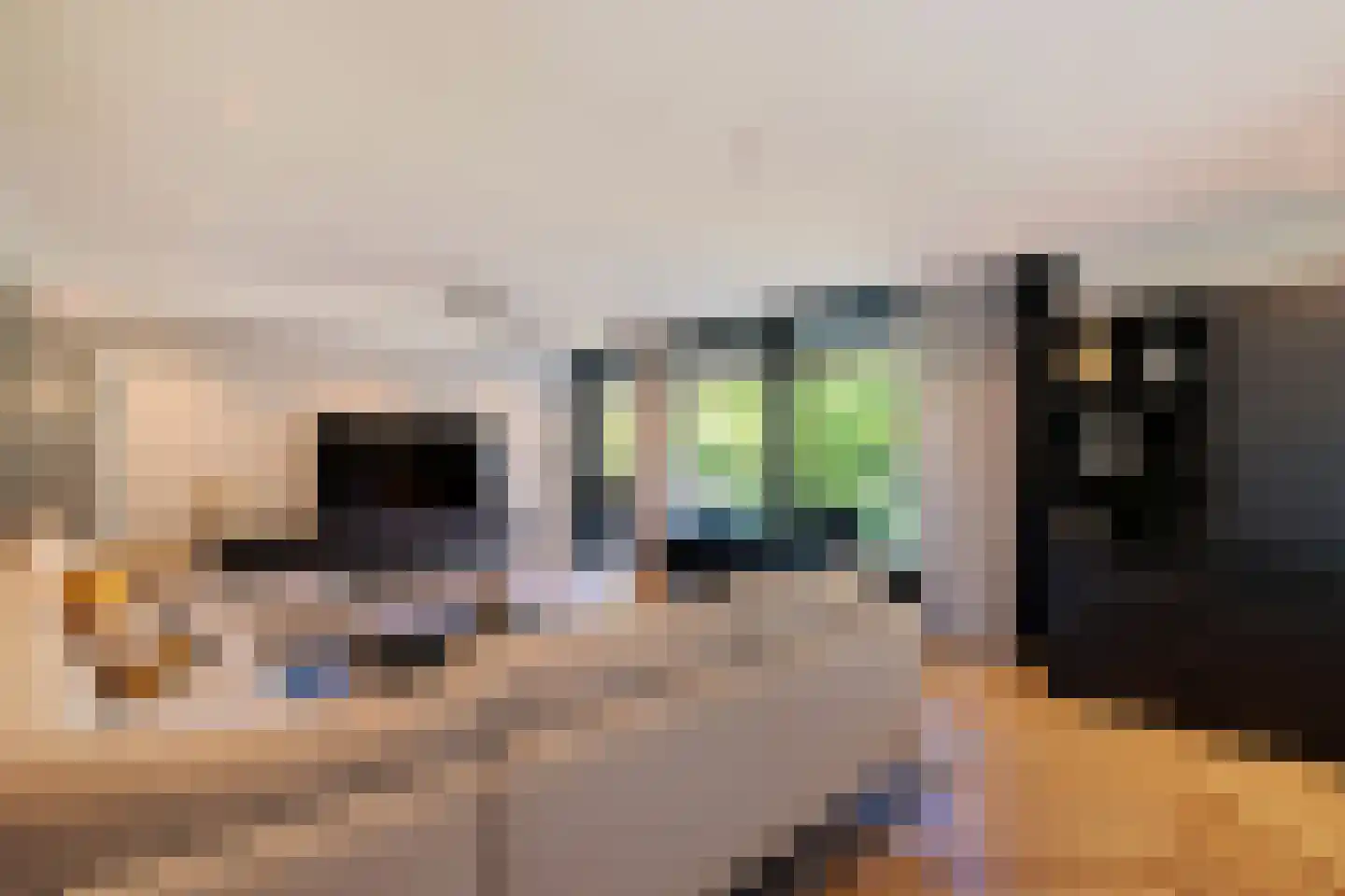 Laan van de Eekharst 78 Emmen thumbnail 24