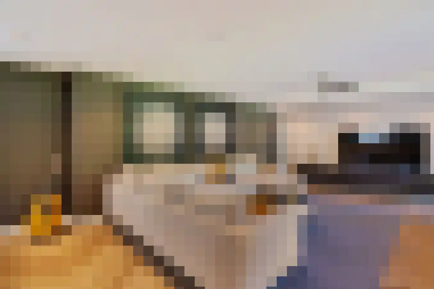 Laan van de Eekharst 78 Emmen thumbnail 25