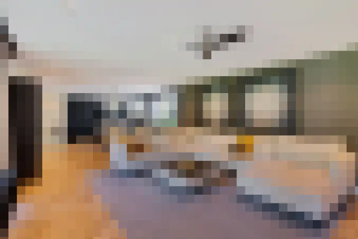 Laan van de Eekharst 78 Emmen thumbnail 26