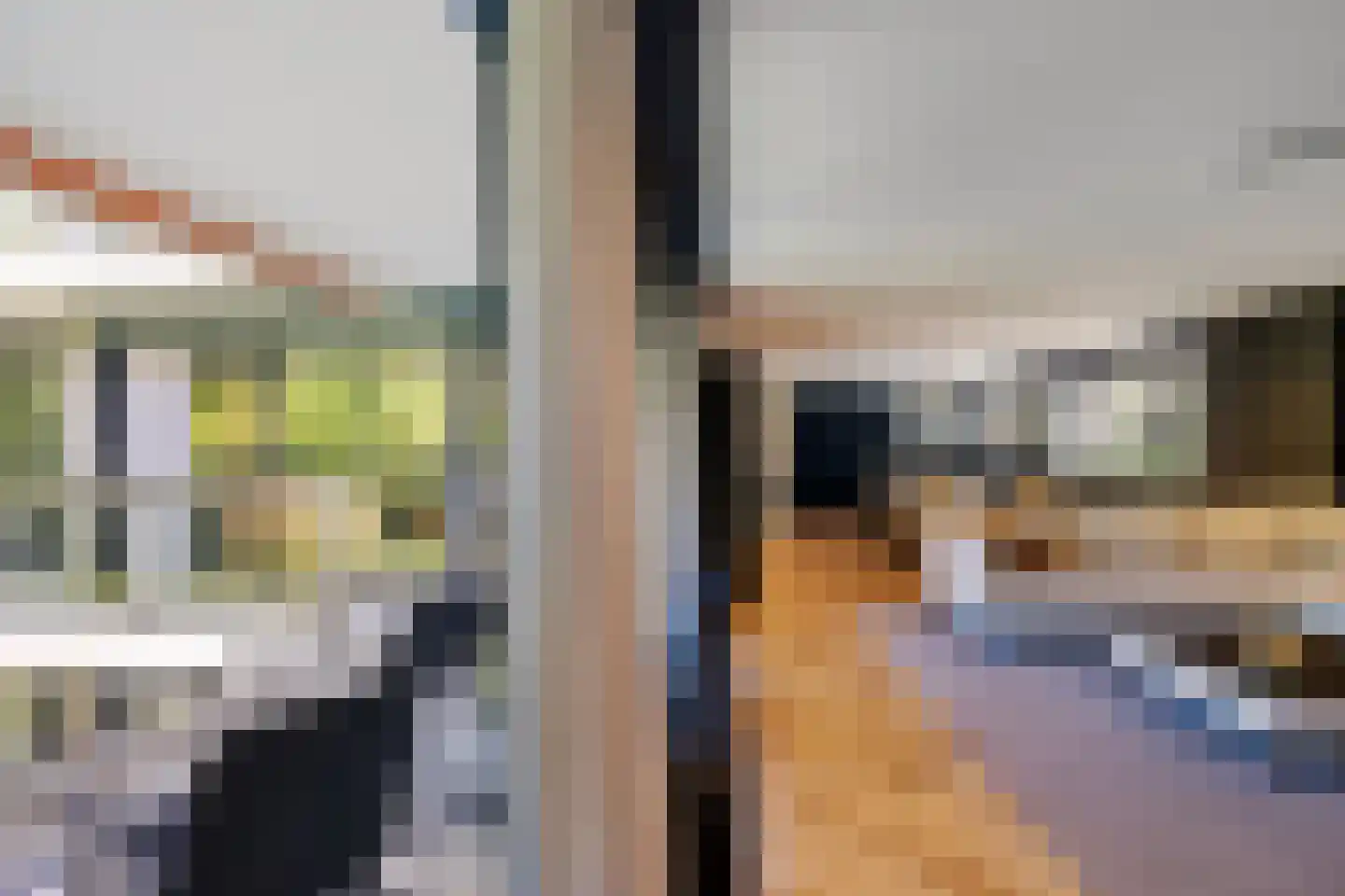 Laan van de Eekharst 78 Emmen thumbnail 27