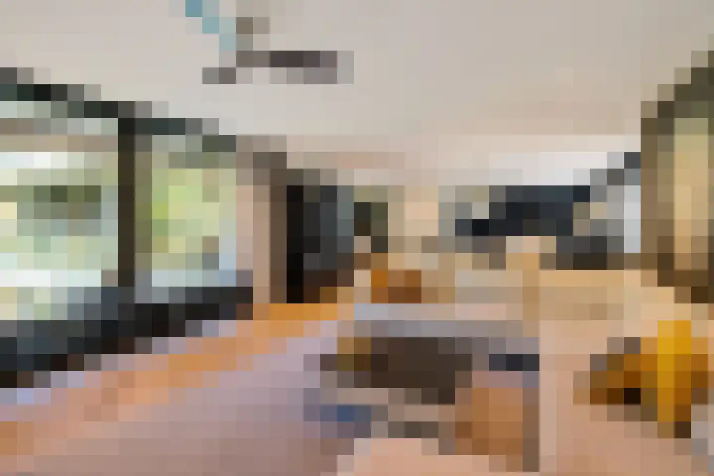 Laan van de Eekharst 78 Emmen thumbnail 28