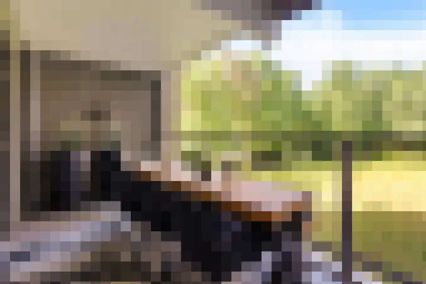 Laan van de Eekharst 78 Emmen thumbnail 29