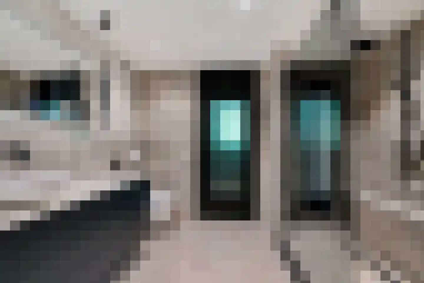 Laan van de Eekharst 78 Emmen thumbnail 35