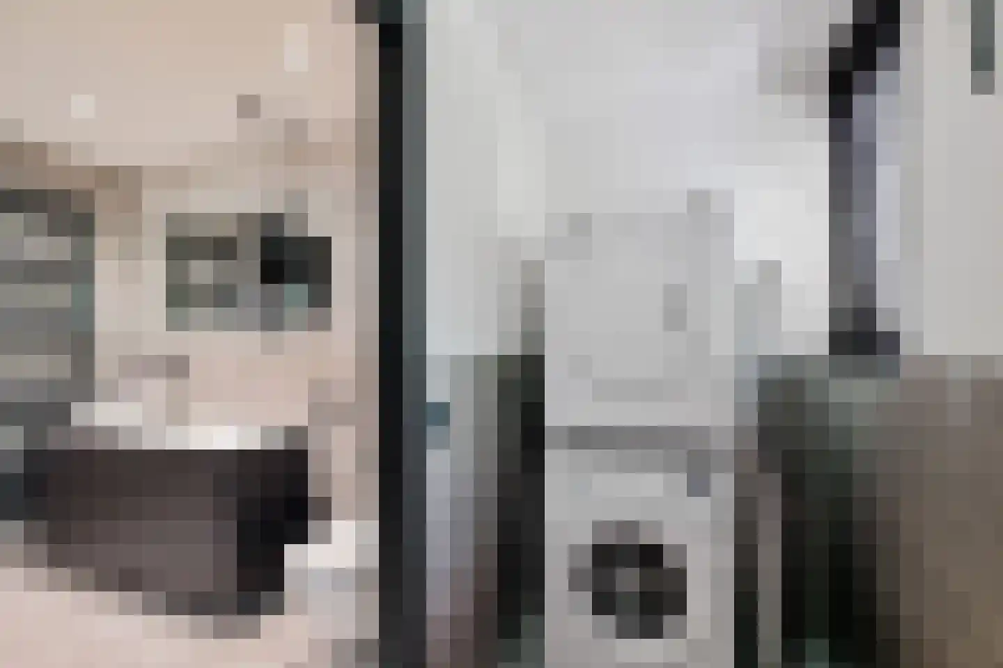 Laan van de Eekharst 78 Emmen thumbnail 37