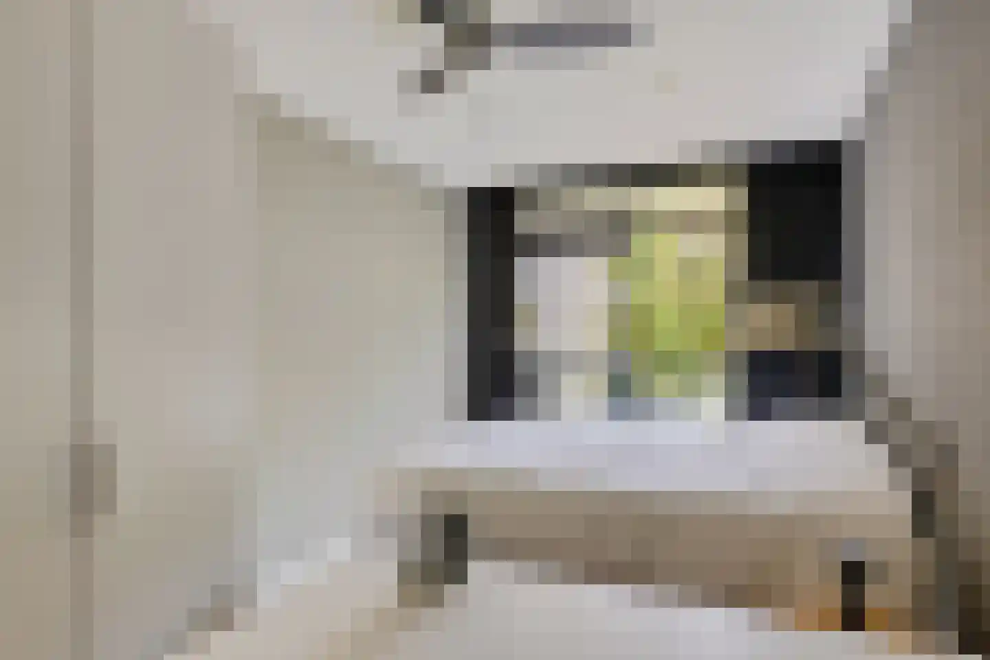 Laan van de Eekharst 78 Emmen thumbnail 40