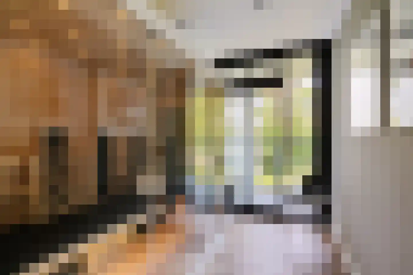 Laan van de Eekharst 78 Emmen thumbnail 42