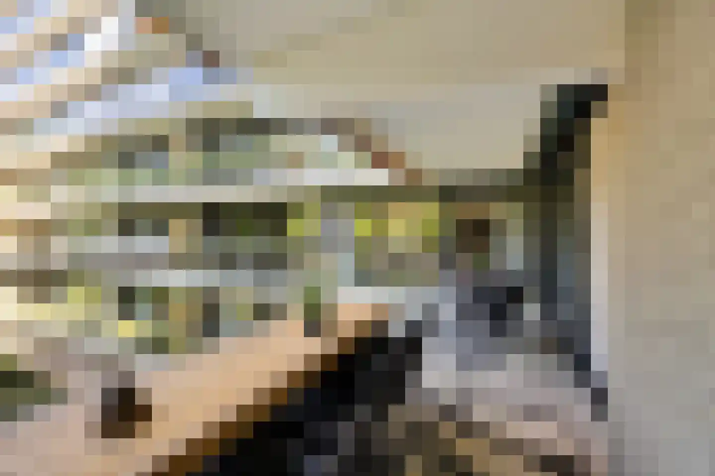 Laan van de Eekharst 78 Emmen thumbnail 44
