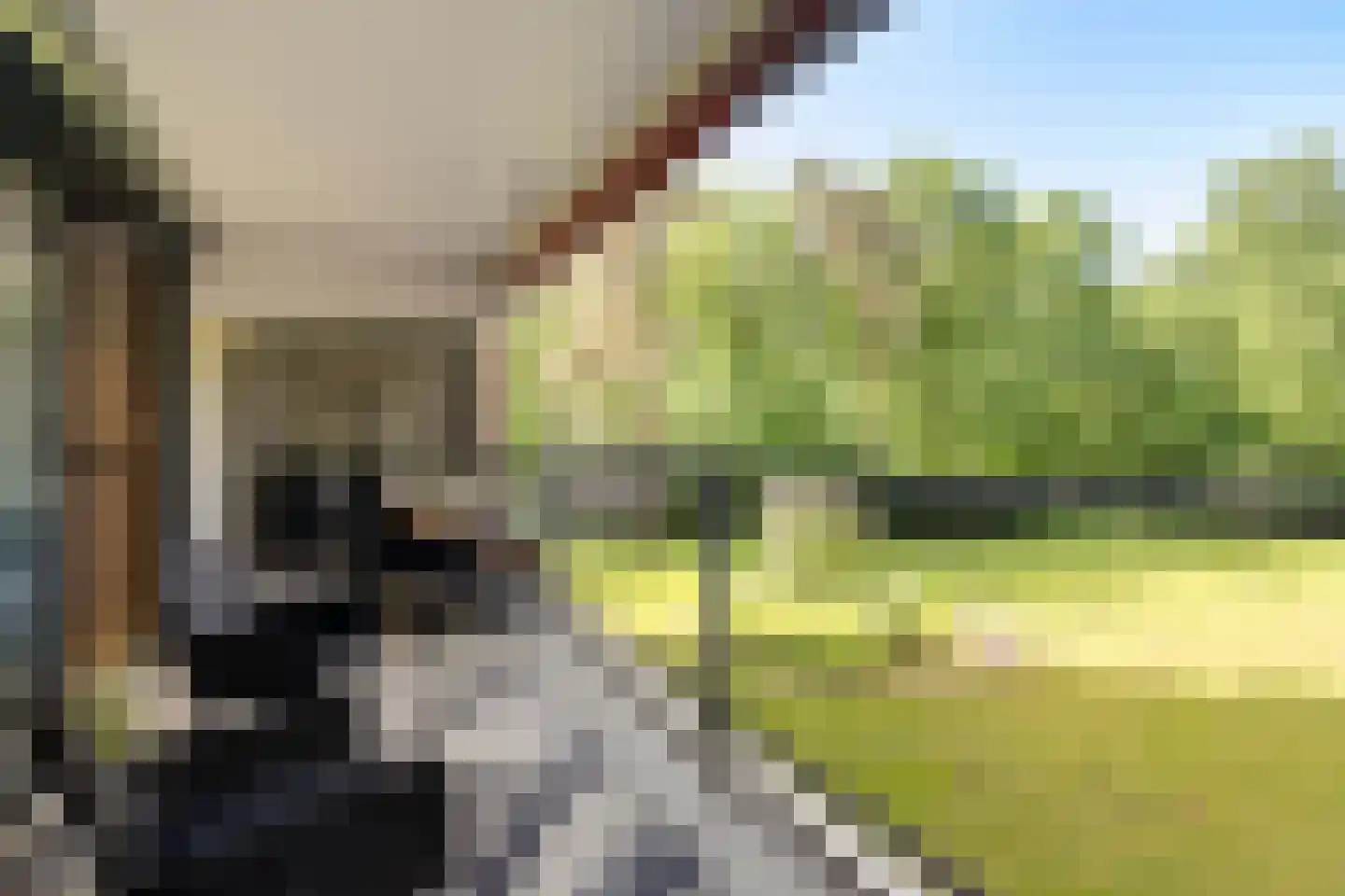 Laan van de Eekharst 78 Emmen thumbnail 45