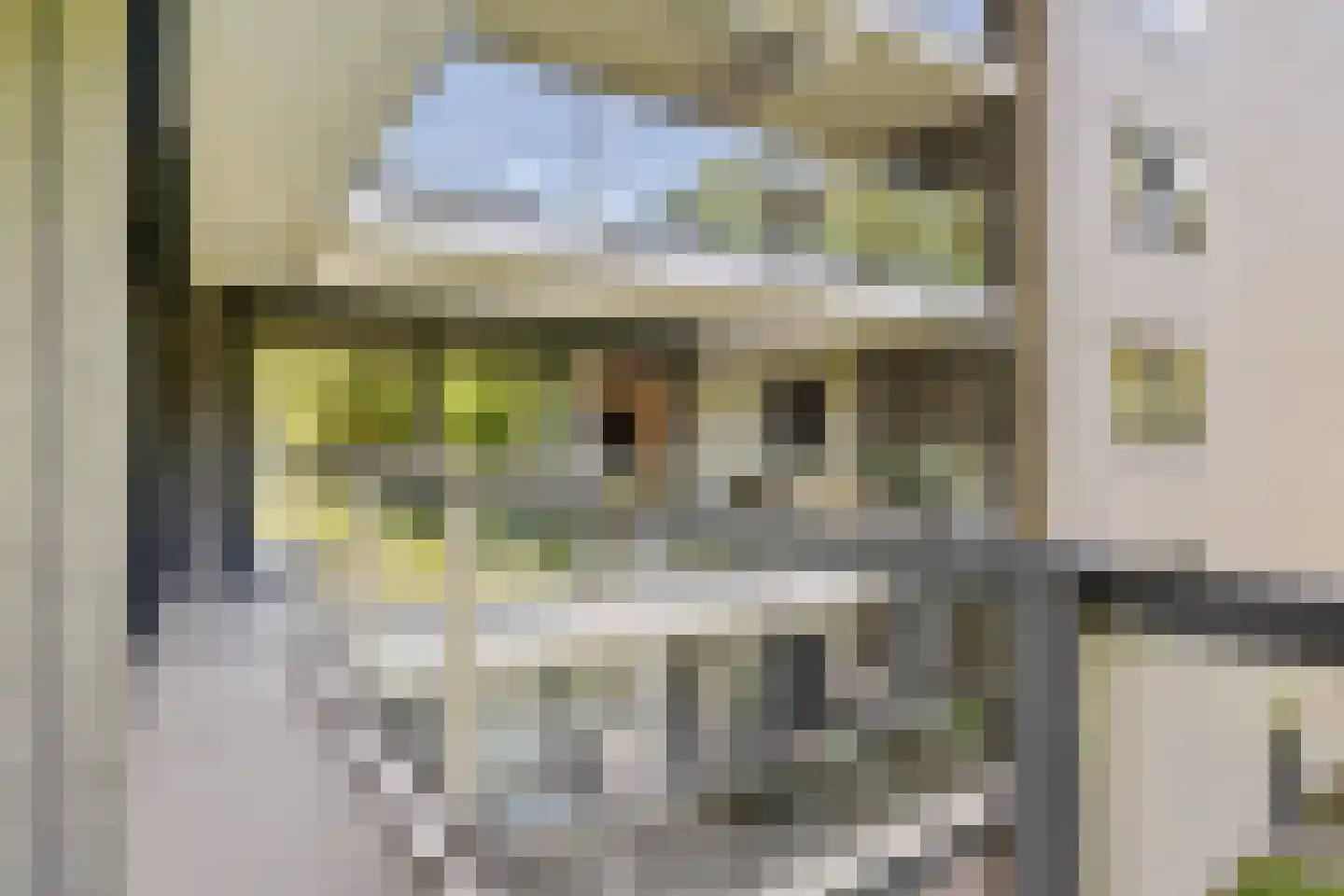 Laan van de Eekharst 78 Emmen thumbnail 48