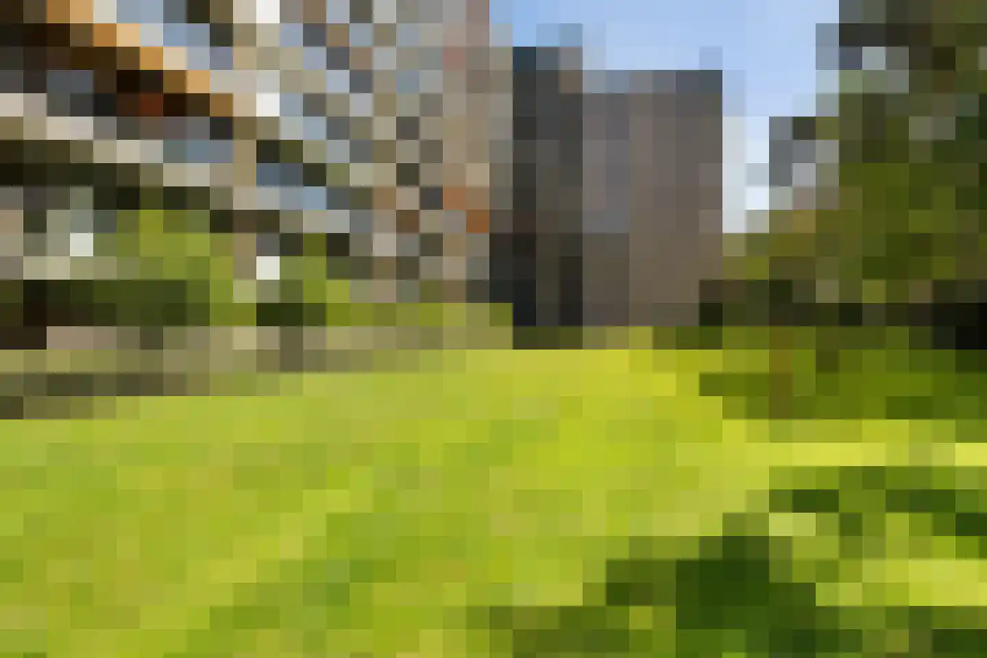 Laan van de Eekharst 78 Emmen thumbnail 49