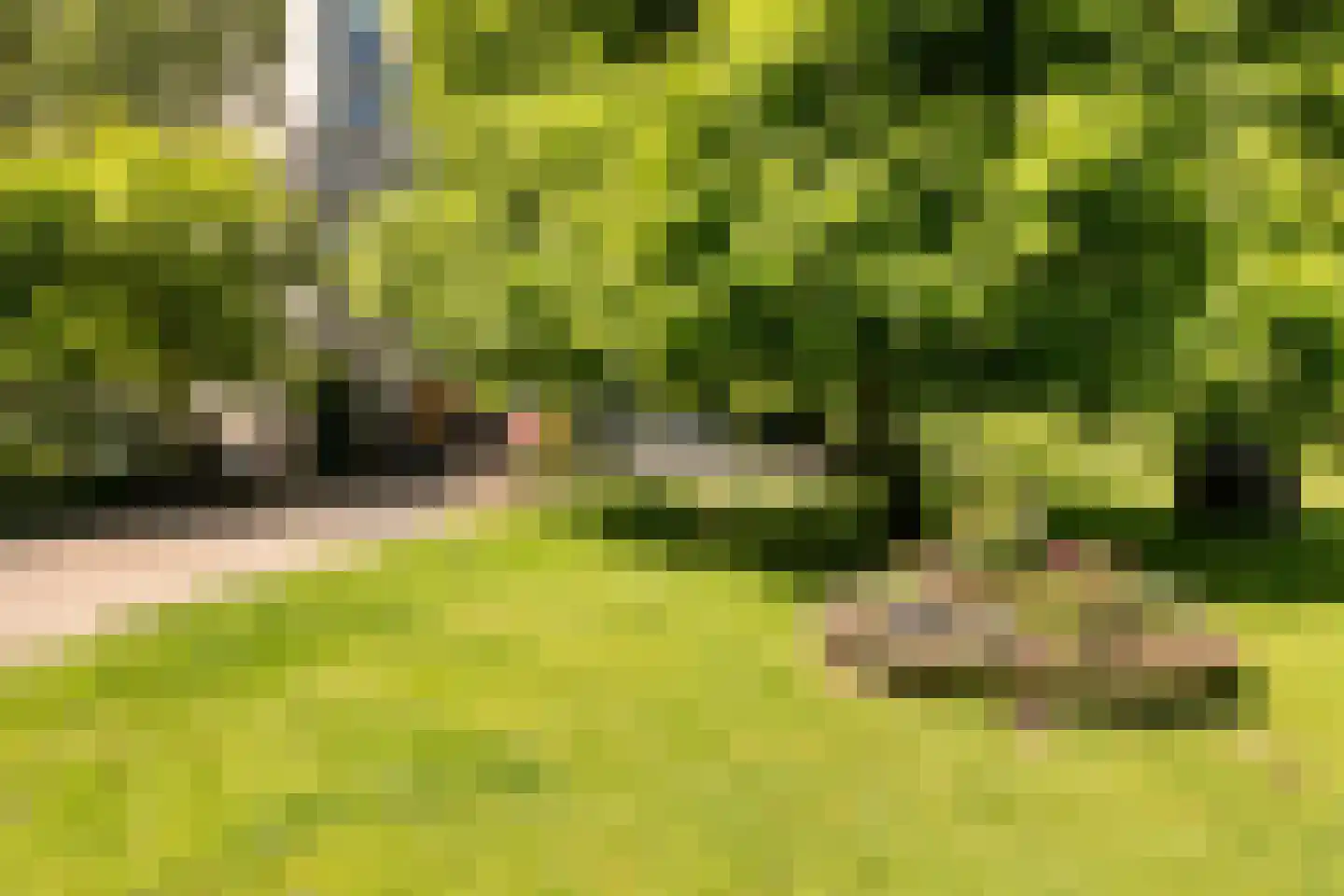 Laan van de Eekharst 78 Emmen thumbnail 51
