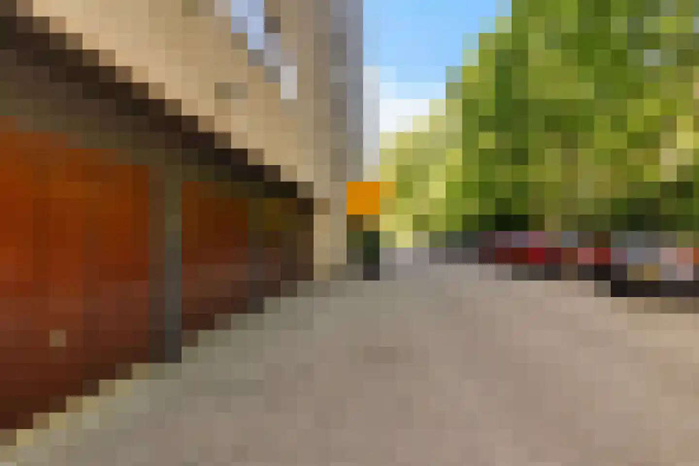 Laan van de Eekharst 78 Emmen thumbnail 52