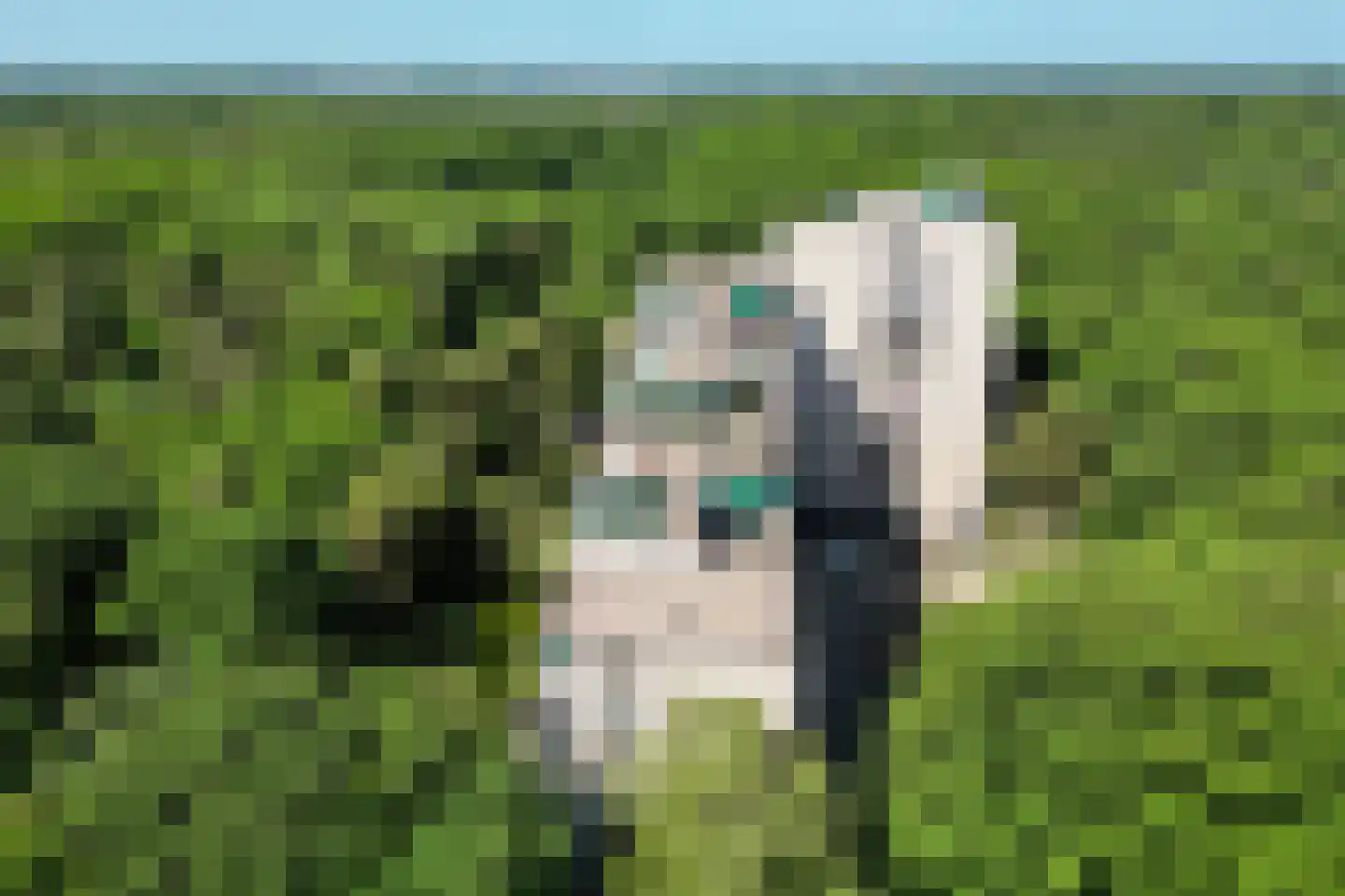 Laan van de Eekharst 78 Emmen thumbnail 54