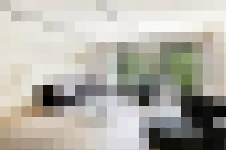 Laan van de Eekharst 84 Emmen thumbnail 12