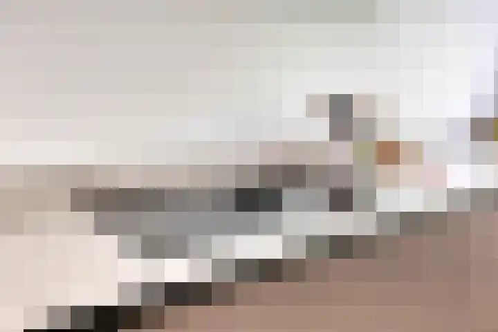 Laan van de Eekharst 84 Emmen thumbnail 15