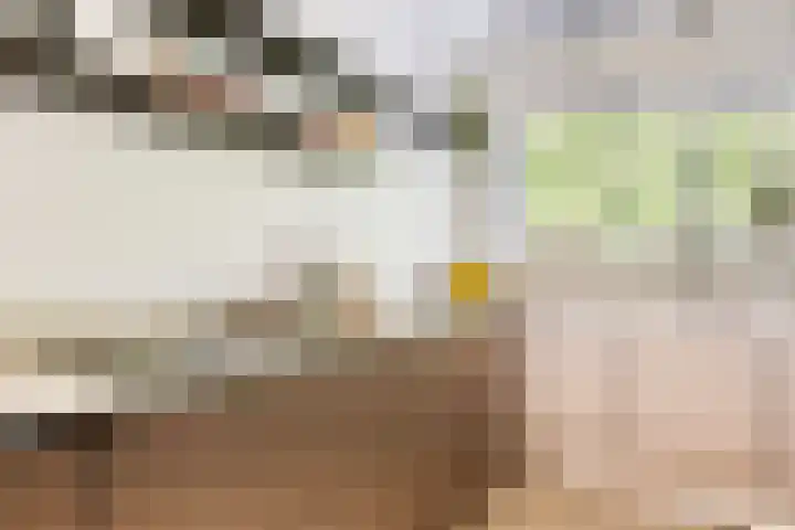 Laan van de Eekharst 84 Emmen thumbnail 16