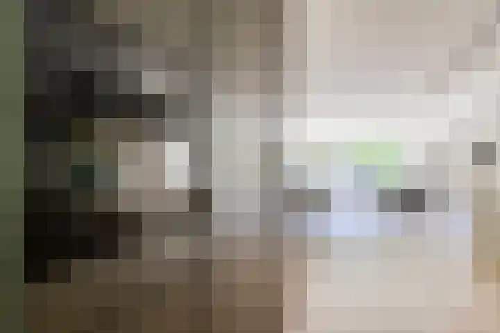 Laan van de Eekharst 84 Emmen thumbnail 17