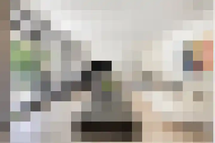 Laan van de Eekharst 84 Emmen thumbnail 18