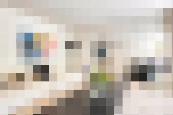 Laan van de Eekharst 84 Emmen thumbnail 20