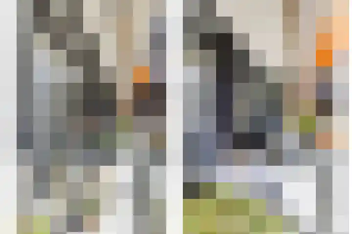 Laan van de Eekharst 84 Emmen thumbnail 23