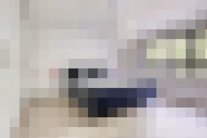 Laan van de Eekharst 84 Emmen thumbnail 25