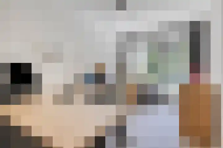 Laan van de Eekharst 84 Emmen thumbnail 31