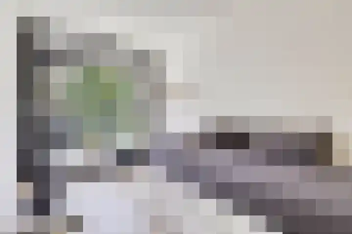 Laan van de Eekharst 84 Emmen thumbnail 32