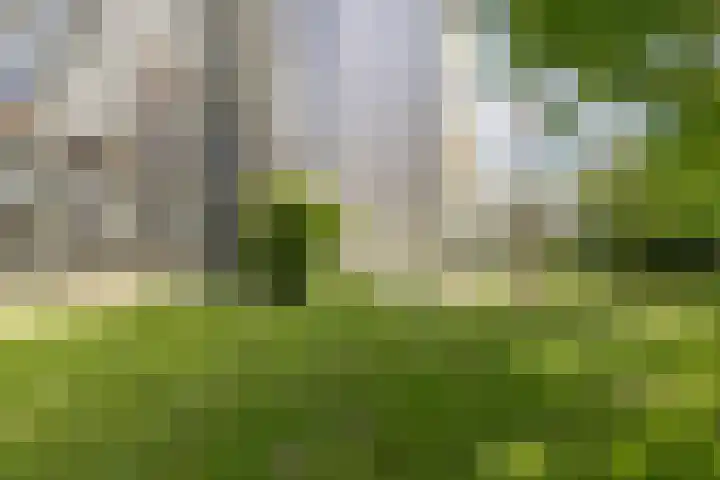 Laan van de Eekharst 84 Emmen thumbnail 35
