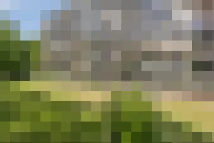 Laan van de Eekharst 84 Emmen thumbnail 39