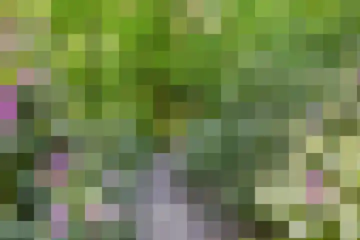 Laan van de Eekharst 84 Emmen thumbnail 41