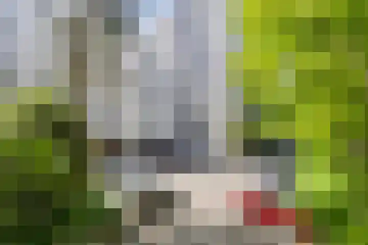 Laan van de Eekharst 84 Emmen thumbnail 43