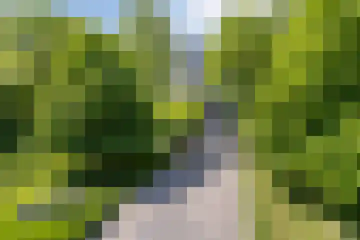 Laan van de Eekharst 84 Emmen thumbnail 46