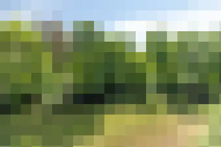 Laan van de Eekharst 84 Emmen thumbnail 47