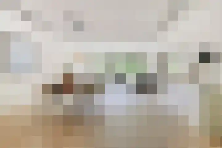Laan van de Eekharst 84 Emmen thumbnail 9