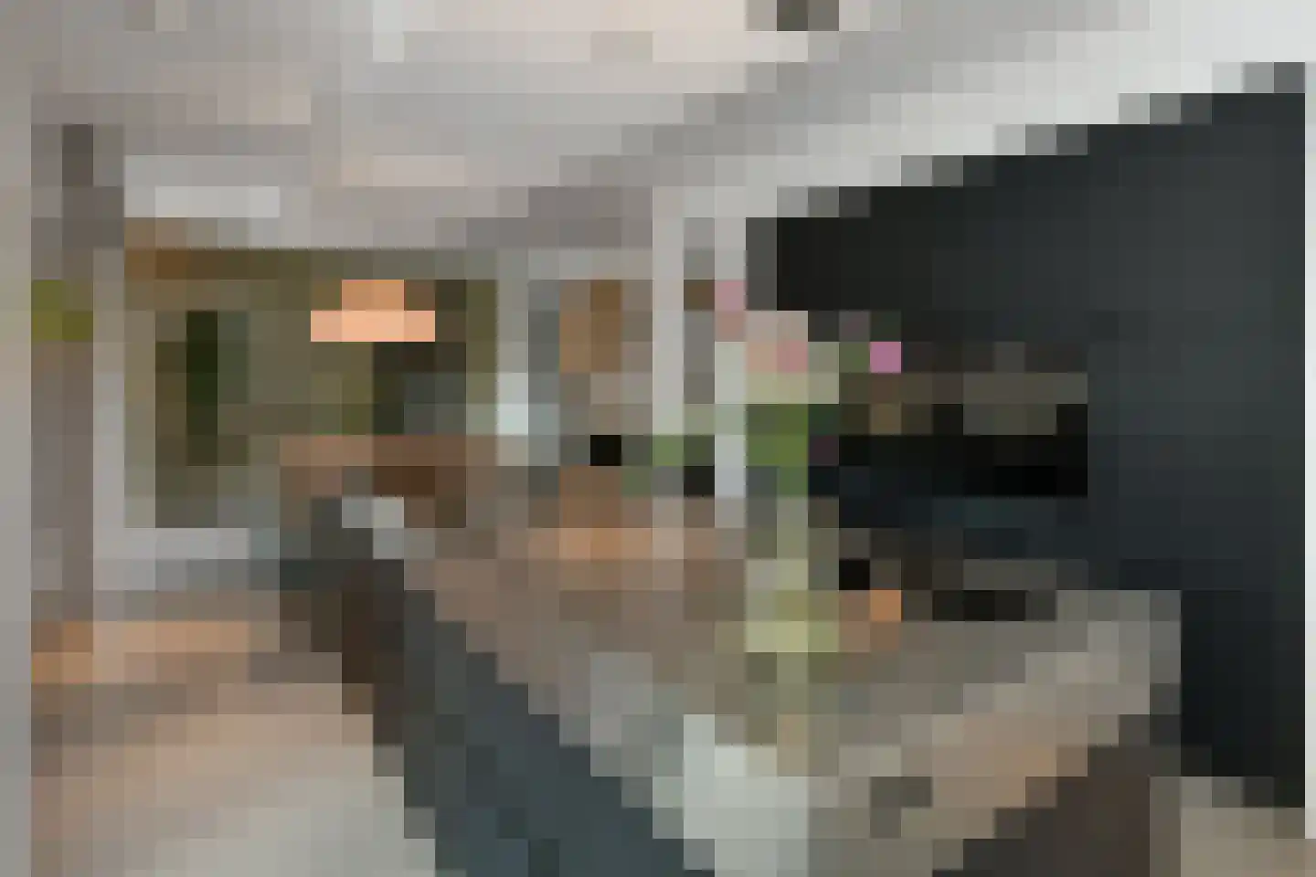 Laan van de Geallieerden 11 Arnhem thumbnail 10