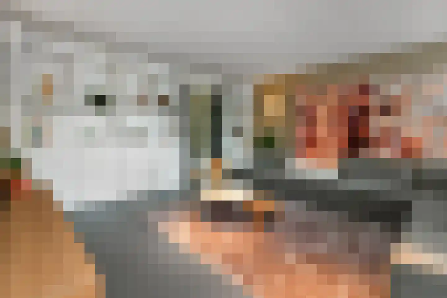 Laan van de Geallieerden 11 Arnhem thumbnail 13