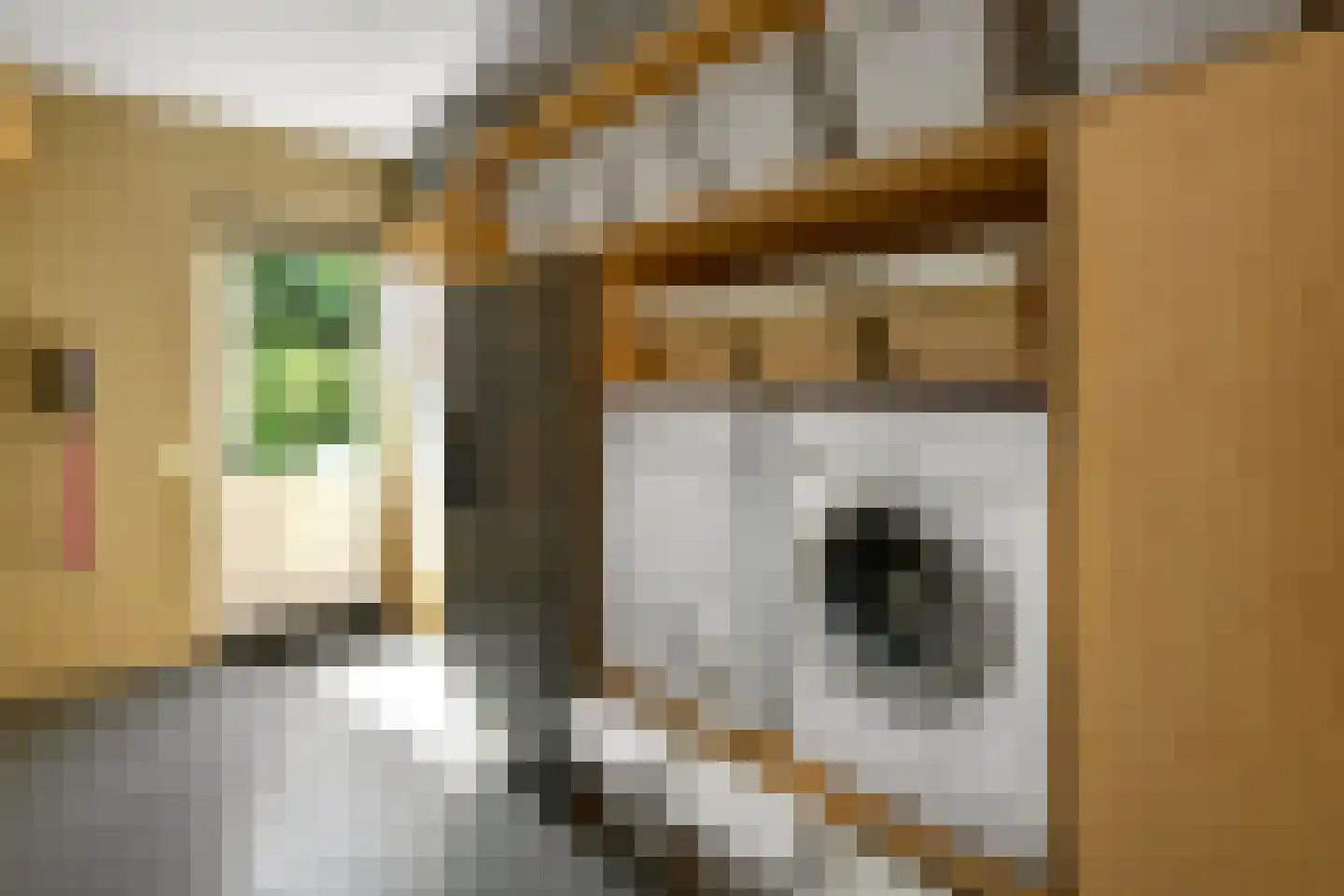 Laan van de Geallieerden 11 Arnhem thumbnail 20