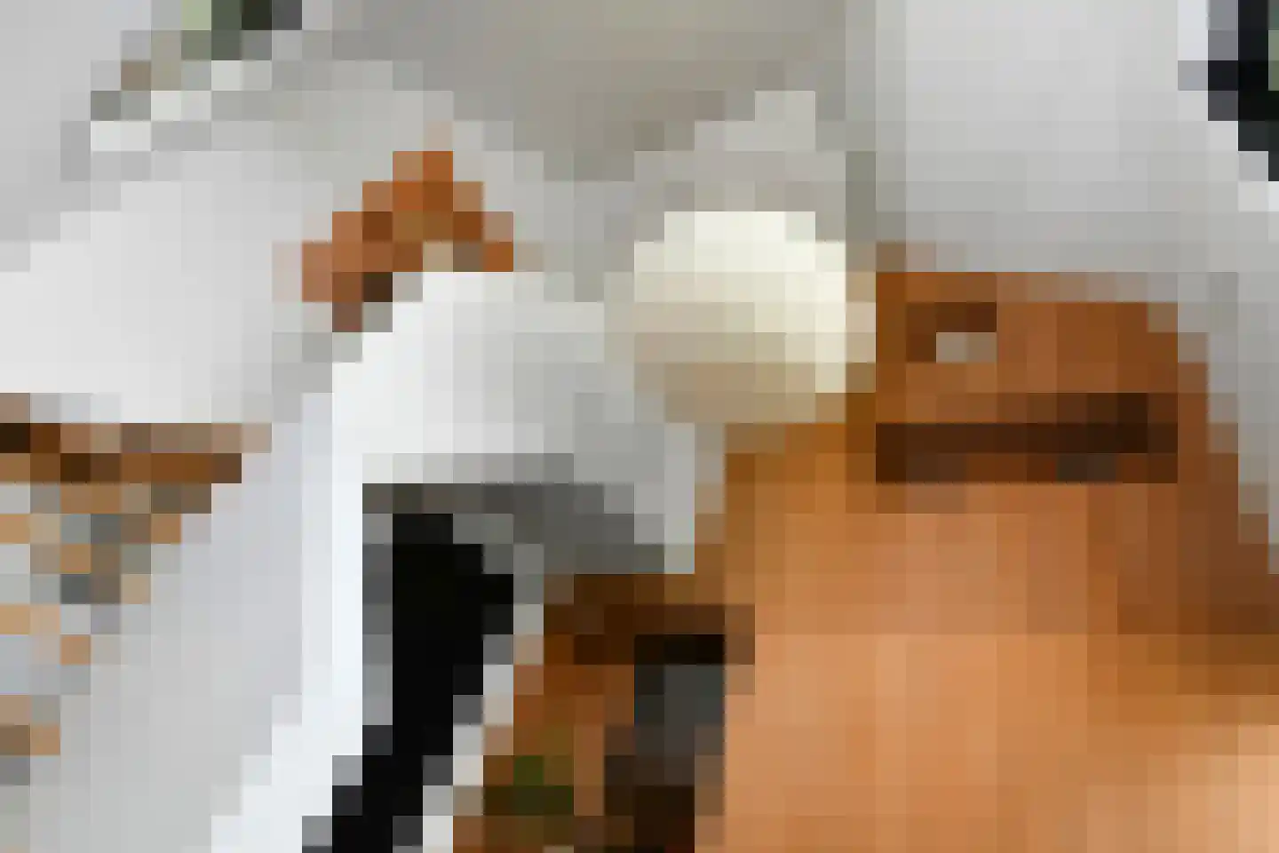 Laan van de Geallieerden 11 Arnhem thumbnail 21