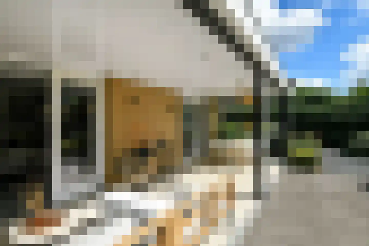 Laan van de Geallieerden 11 Arnhem thumbnail 4