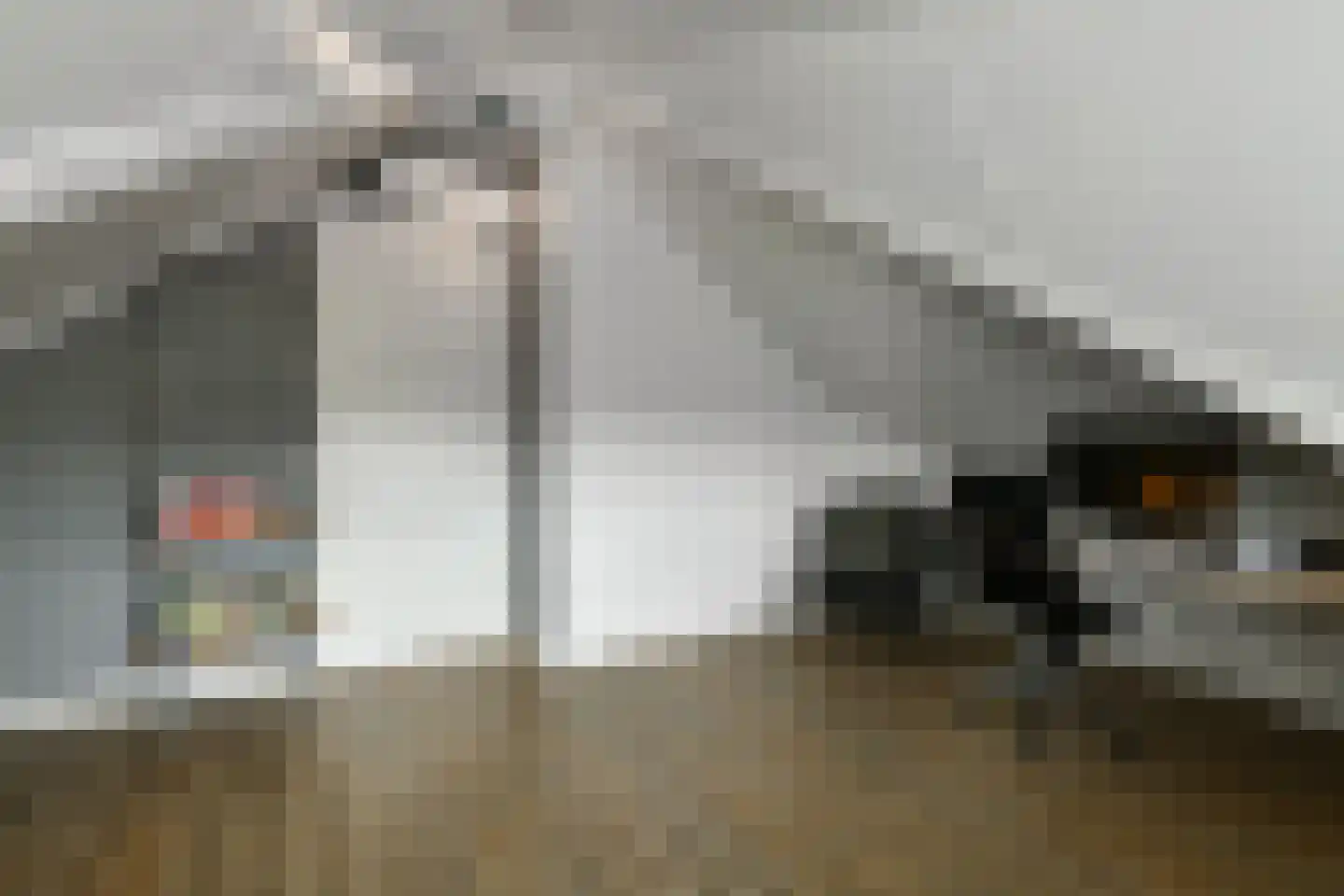 Laan van de Geallieerden 11 Arnhem thumbnail 47