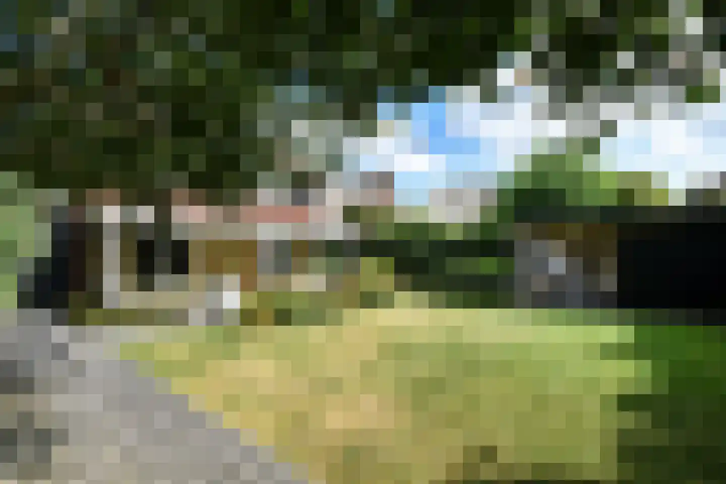 Laan van de Geallieerden 11 Arnhem thumbnail 5