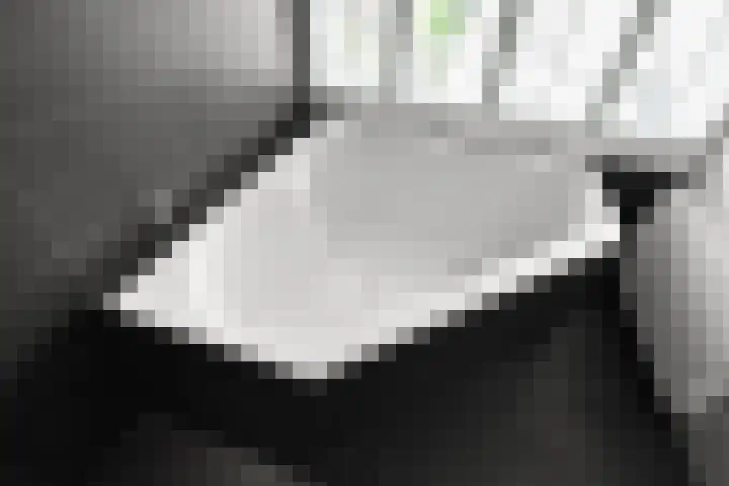 Laan van de Geallieerden 11 Arnhem thumbnail 51