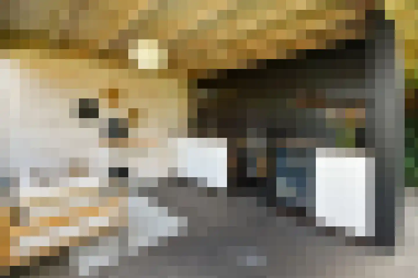 Laan van de Geallieerden 11 Arnhem thumbnail 55