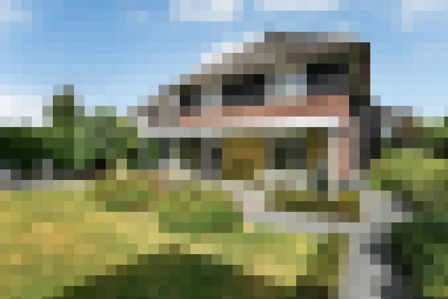 Laan van de Geallieerden 11 Arnhem thumbnail 6