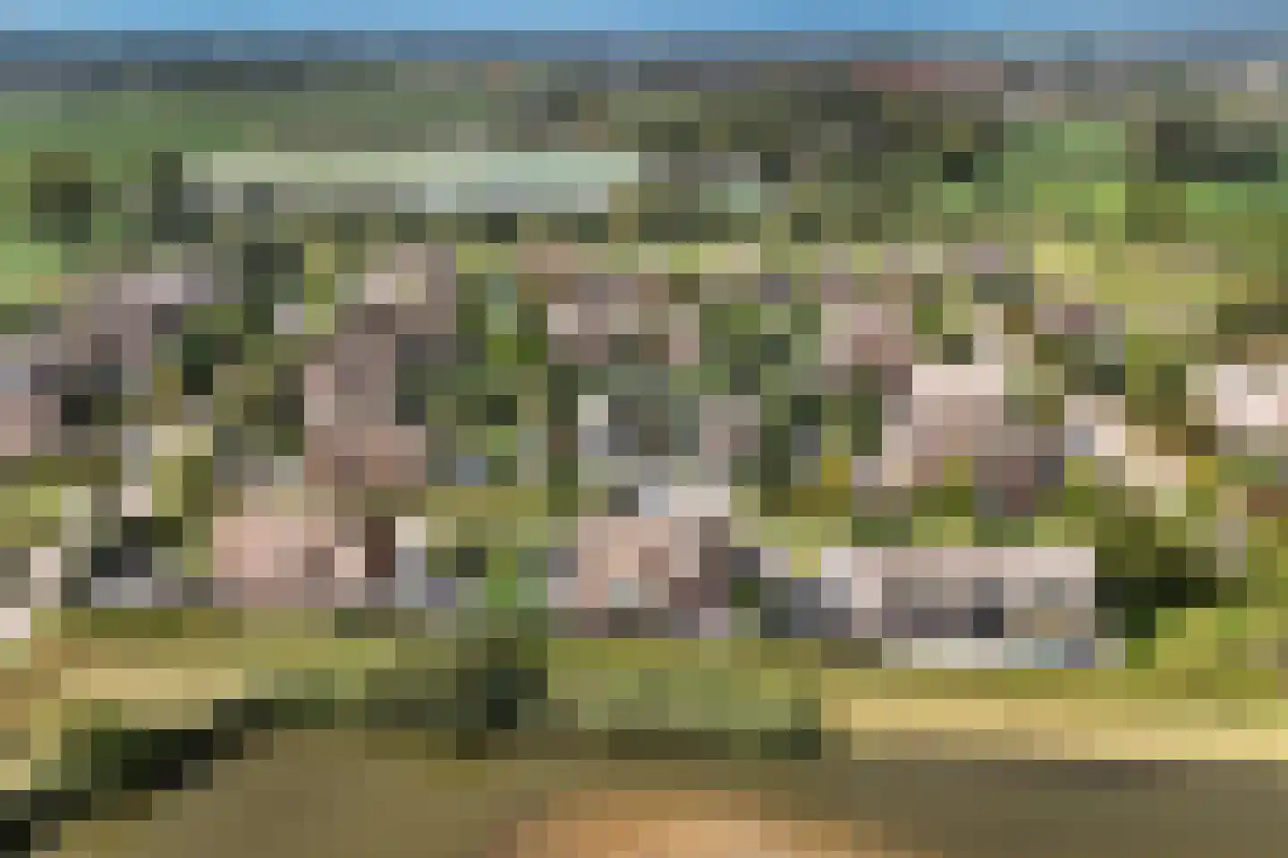Laan van de Geallieerden 11 Arnhem thumbnail 62
