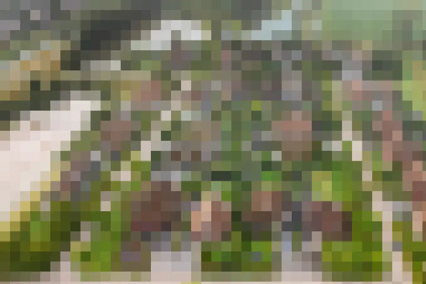 Laan van de Geallieerden 11 Arnhem thumbnail 63