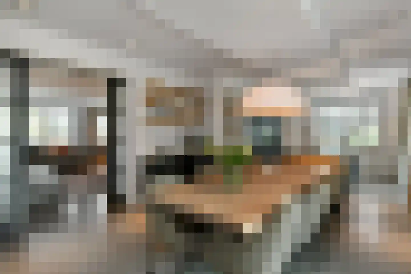 Laan van de Geallieerden 11 Arnhem thumbnail 9