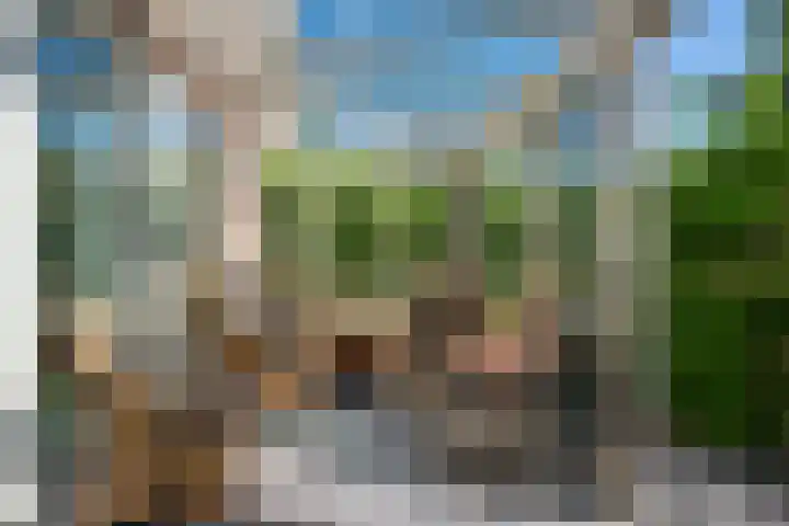 Laan van de Geallieerden 15 Arnhem thumbnail 13